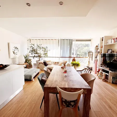 Blue Dream And Zen Holidays